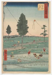 Twenty-Eight, Fukuroi, Edo period, 1855