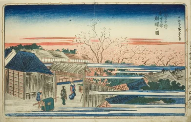 View of Morning Cherry Blossoms in the New Yoshiwara, from the series "Famous Views of the Eastern Capitol"