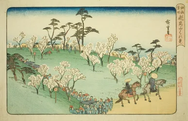 Viewing Cherry Blossoms at Asuka Hill, from the series "Famous Places in Edo"