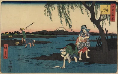 Village by the Tamagawa River