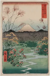 Ōtsuki Plain in Kai Province, from the series Thirty-six Views of Mount Fuji