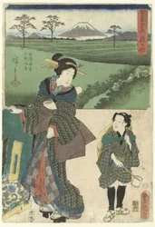 Hodogaya (series title)