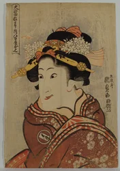 The Actor Iwai Hanshiro V as Yaoya Oshici from the series 