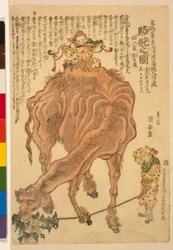 A Camel