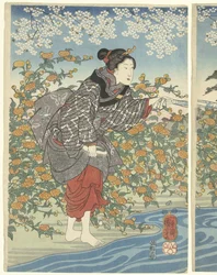The Ide Tama River in Yamashiro Province