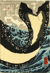Unknown Image
