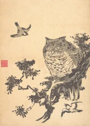 Owl and Two Swallows