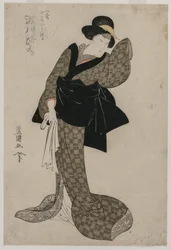 Segawa Roko as Hachizo