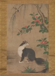 Musk Cat