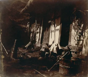 Farmyard Scene