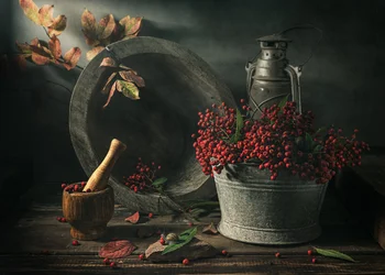 Autumn Harvest Still Life