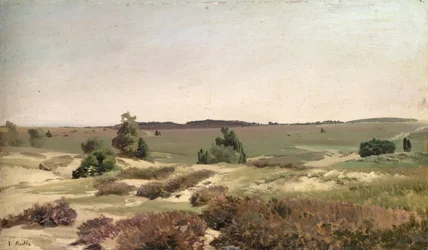 The Heath near Wilsede