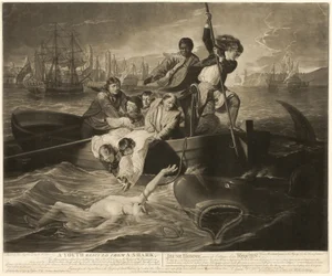 A Youth Rescued from a Shark