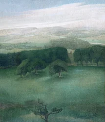 Mountains in Cardiganshire, 1910s