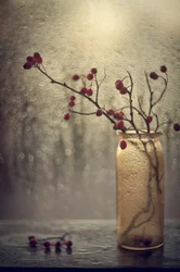 Berries by Rainy Window