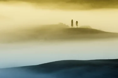 Misty Golden Hills