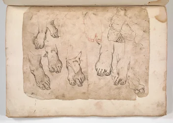 Album of Drawings