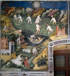 Month of July: Summer Activities