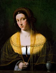 Portrait of a Lady