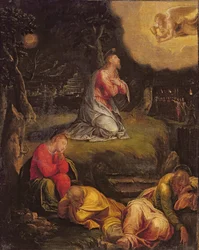 Unknown Image