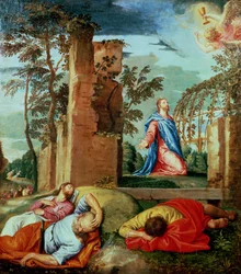 Unknown Image