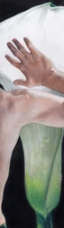 Hand Touching Calla Lily