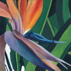 Vibrant Bird of Paradise