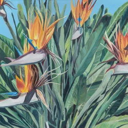 Vibrant Bird of Paradise