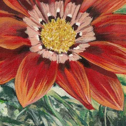 Vibrant Orange Bloom