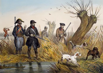 Duck hunting