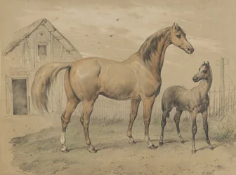 Mare and Foal