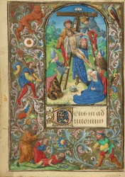 The Deposition