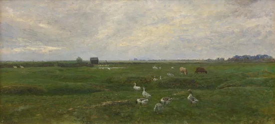 Geese by a Lake. A Storm is Brewing. Dragør, the Island of Amager