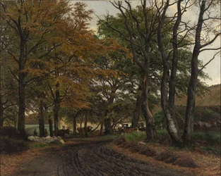 A Rutted Road under Old Trees