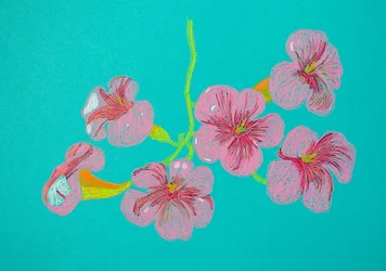 Pink Floral Drawing