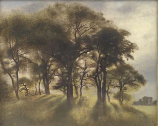 Near Fortunen, Jægersborg Deer Park, North of Copenhagen