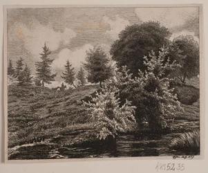 Hills by a Bog