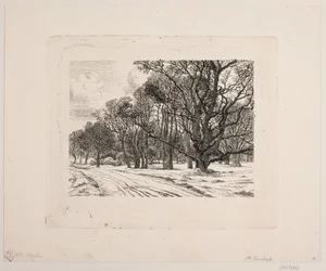 Winter in the Forest