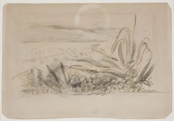 Landscape with Agave. Southern France