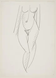 Standing Naked Woman Seen from the Front