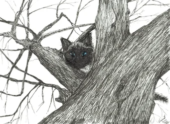 Apple Tree Baby