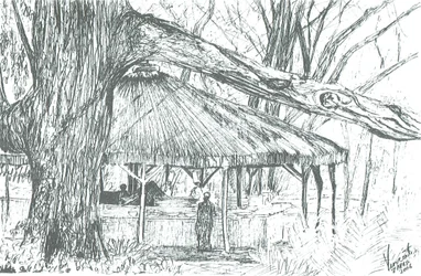 Outdoor Bar, Lake Naivasha
