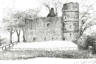 Ruin at Strathaven, 2012