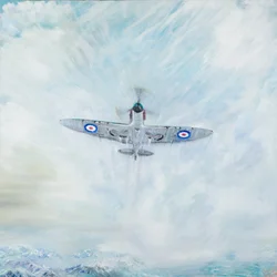 Spitfire Ace of Spades
