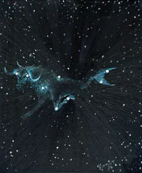 Star Sign Capricorn