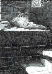 The Castle in the Forest of Findhorn, page 21