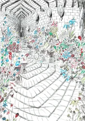 page37, The Castle in the Forest of Findhorn, 2006