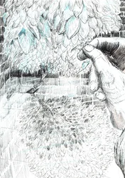 page43, The Castle in the Forest of Findhorn, 2006