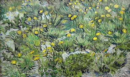 Dandelions, 1889