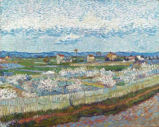 Peach Trees in Blossom, 1889